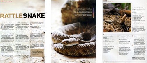 Rattlesnake recipes article